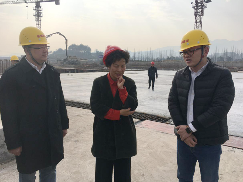 麗水市委常委、宣傳部長任淑女調(diào)研松陽美林·南城壹號項目