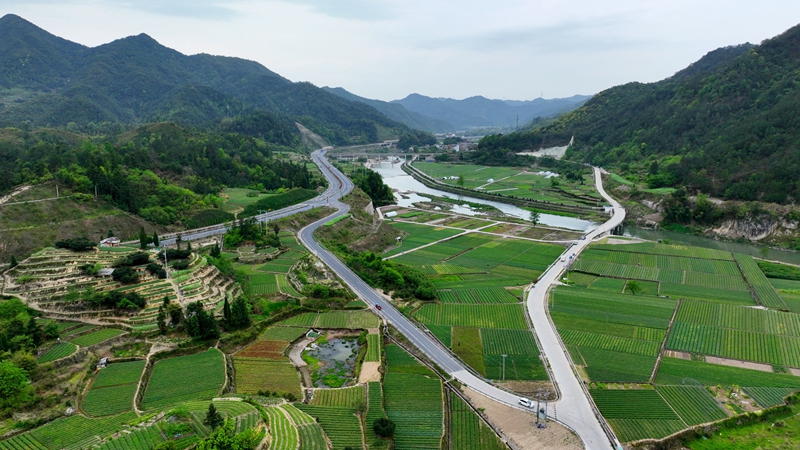 浙農浙貝母、杭白菊基地通過中藥材GAP延伸檢查